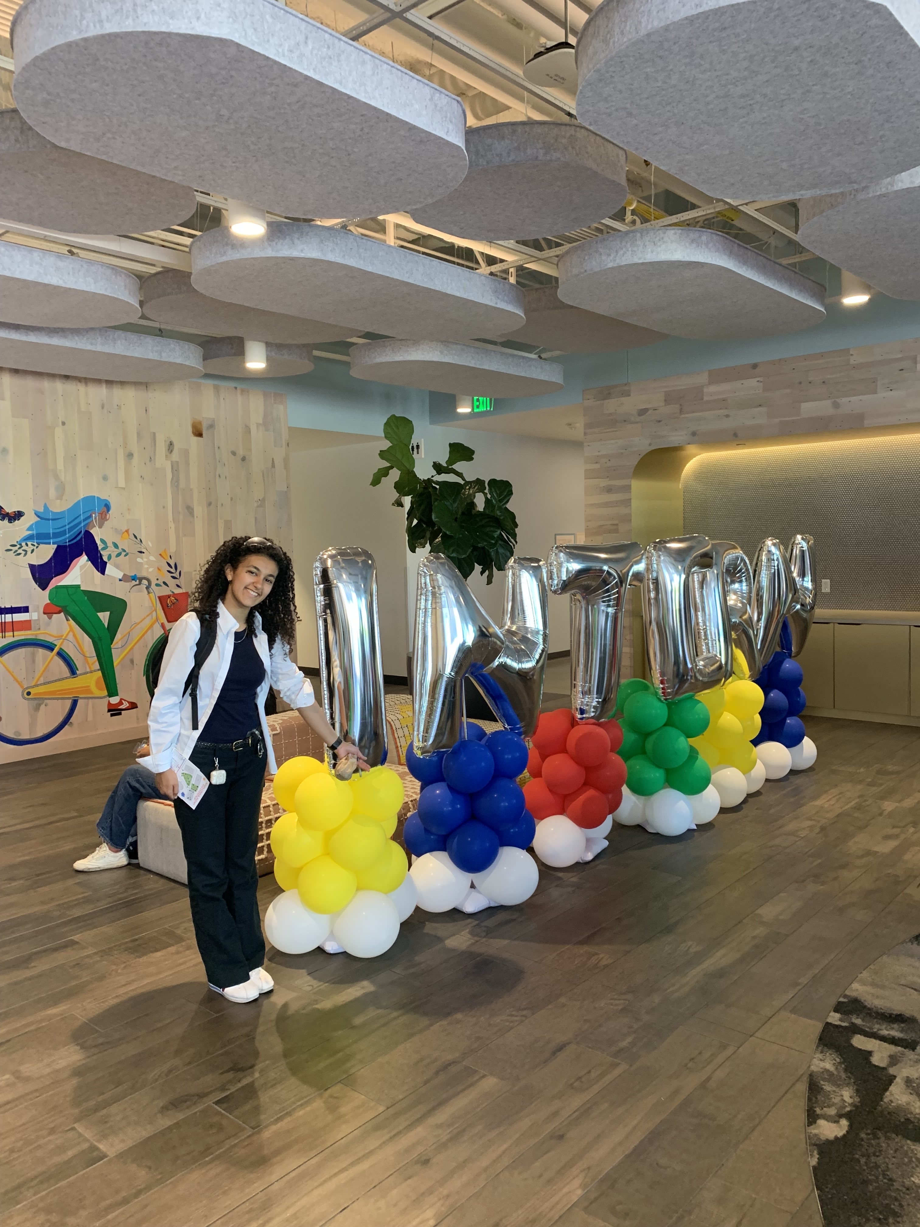 Google Image 4